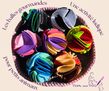 Les balles gourmandes