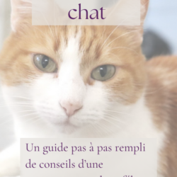 J'adopte un chat