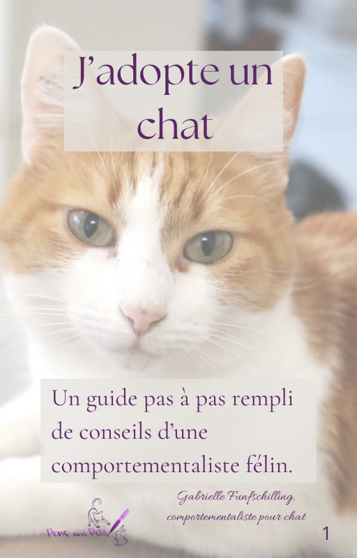 J'adopte un chat